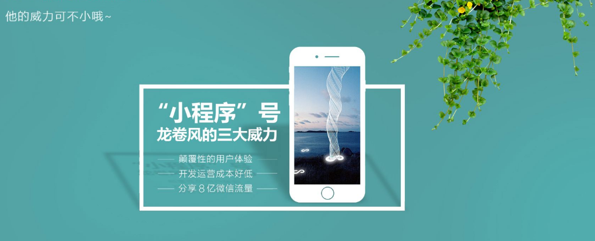 金华鑫扬网络科技有限公司开发小程序